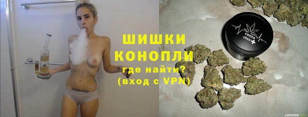 эйфоретик Ельня