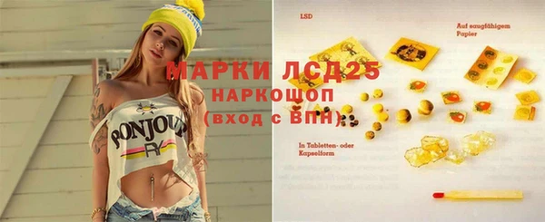эйфоретик Ельня