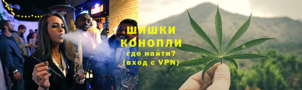 эйфоретик Ельня