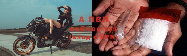 эйфоретик Ельня