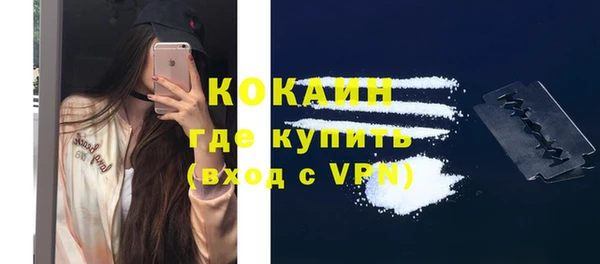 эйфоретик Ельня