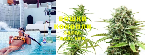эйфоретик Ельня