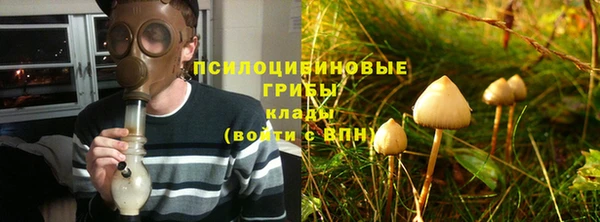 эйфоретик Ельня