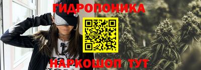 PSILOCYBIN Канаш