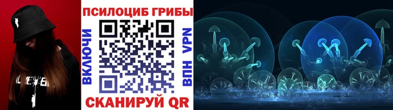 kraken   Курск  Галлюциногенные грибы Cubensis 