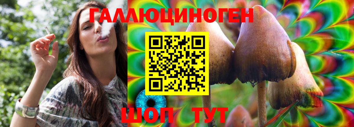 Псилоцибиновые грибы Magic Shrooms  Галлюциногенные грибы мицелий  Курск 