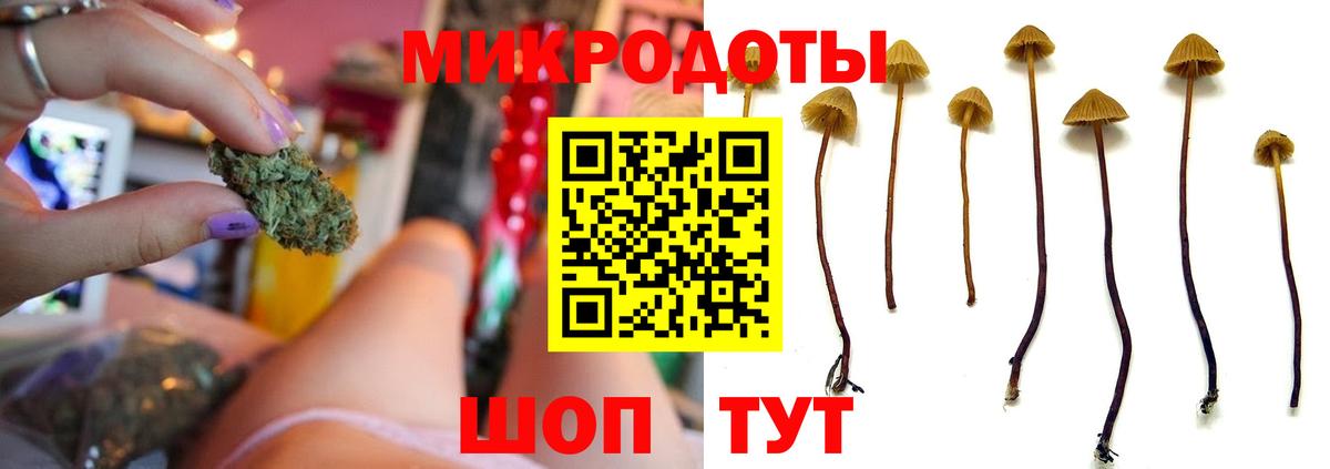 Галлюциногенные грибы ЛСД Курск