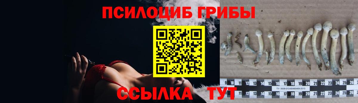 Галлюциногенные грибы MAGIC MUSHROOMS Курск